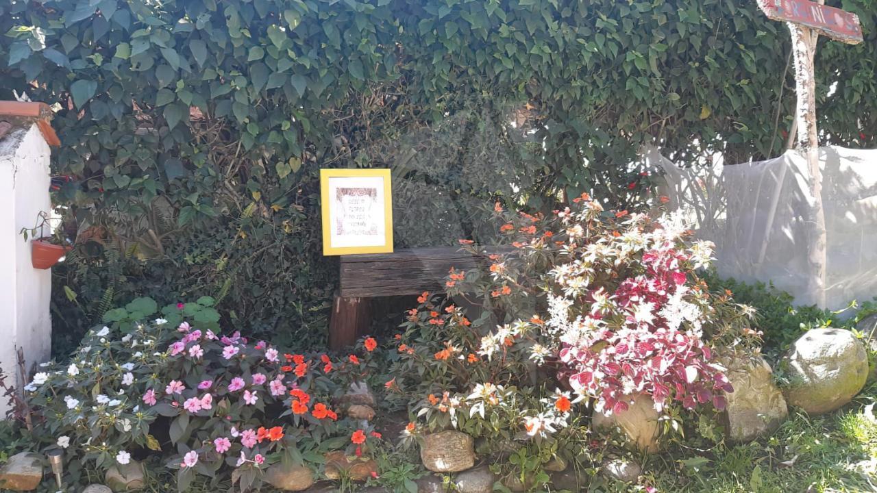 Pousada Gaia 비스콘지 지 마우아 외부 사진